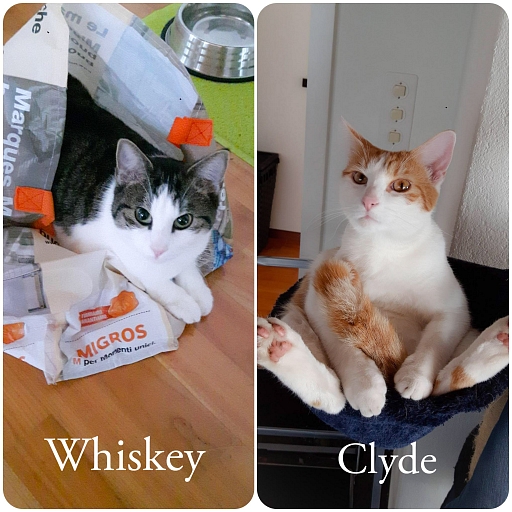 Whiskey und Clyde