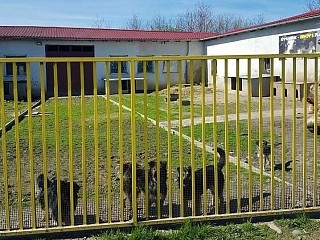 Shelter in Lučenec (Slowakei)